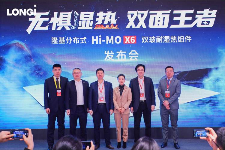 稳健可靠科技引领 隆基发布双玻耐湿热新产品打造分布式"双飞翼"