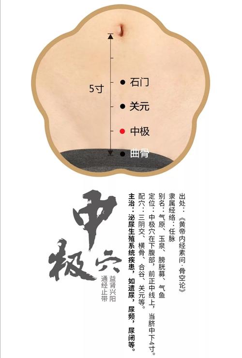 经络点穴知识19 中极穴 ﻿任脉气血之极